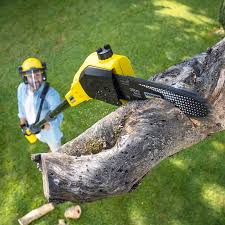 Best Lawn Grading and Leveling  in Dumont, NJ